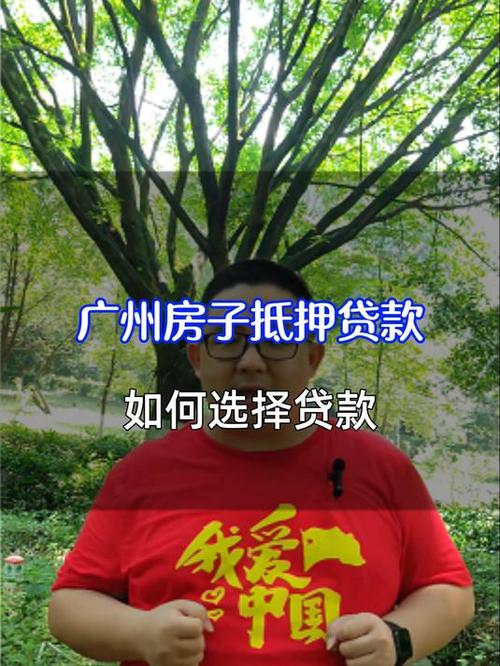 广州花都抵押贷款利率分析(广州花都贷款无抵押)